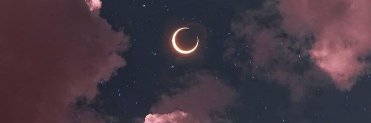 anneish25's profile banner image