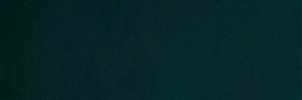 OlyaRen's profile banner image