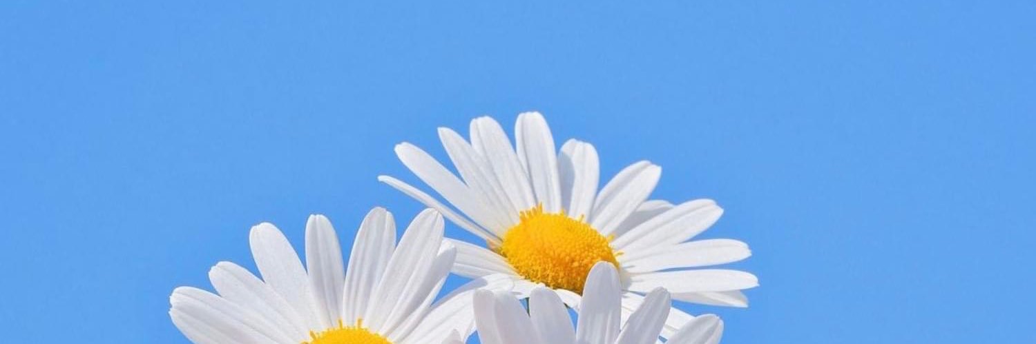 monnnntraaaa's profile banner image
