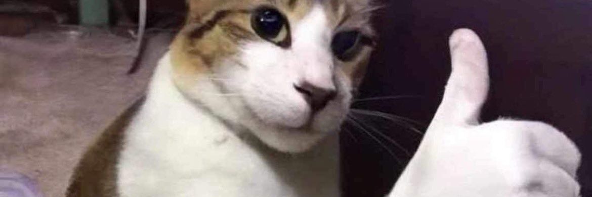 NiceGuy_Jon's profile banner image