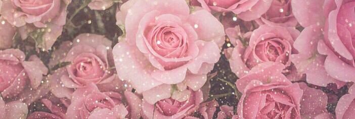 Koji__0621_'s profile banner image