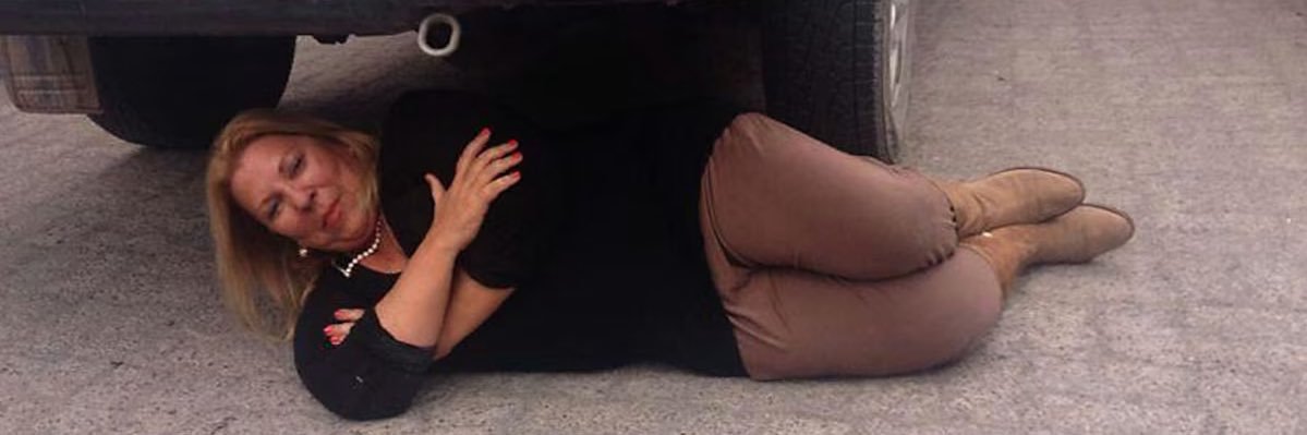 sofifaroni's profile banner image