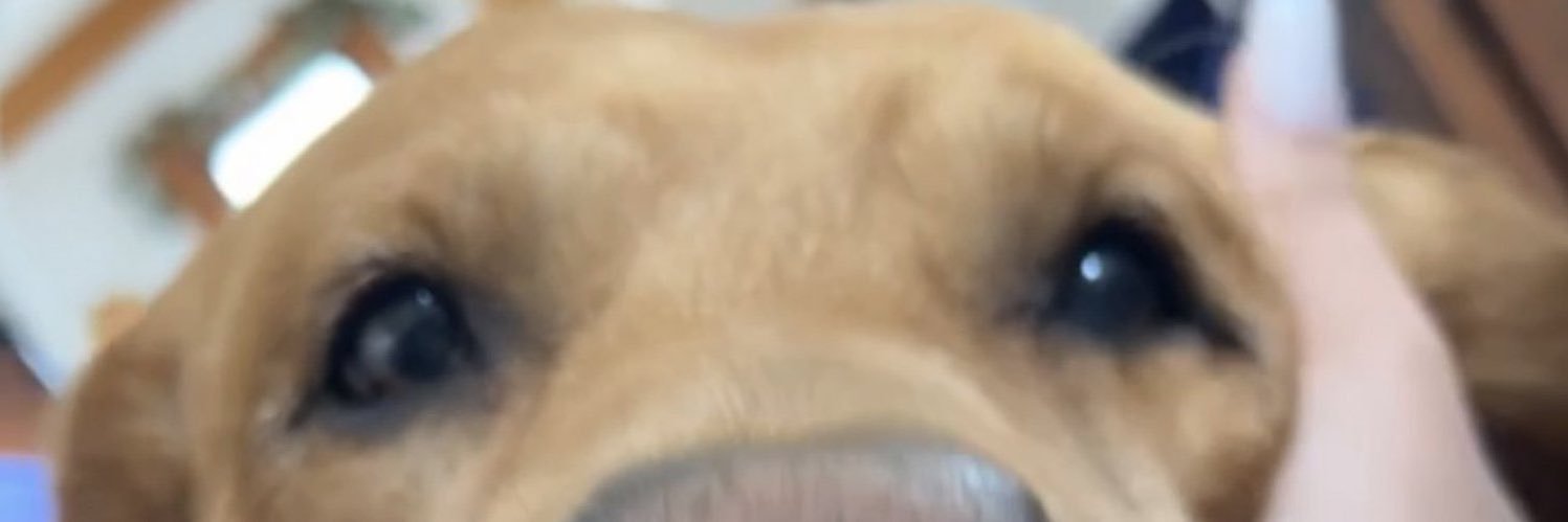 _grmz's profile banner image