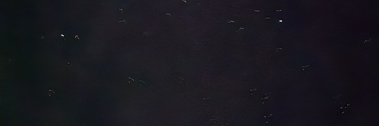 mosdjos's profile banner image