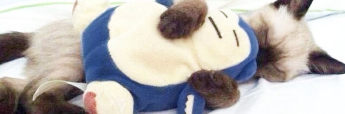 jianabelle's profile banner image