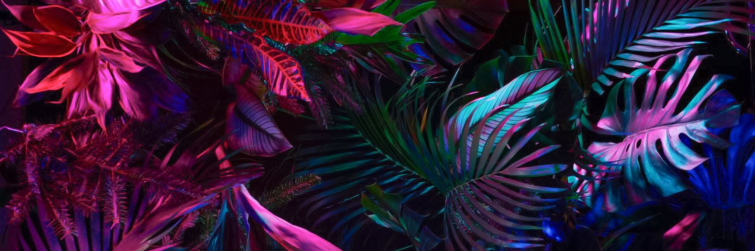 _the_chroma's profile banner image