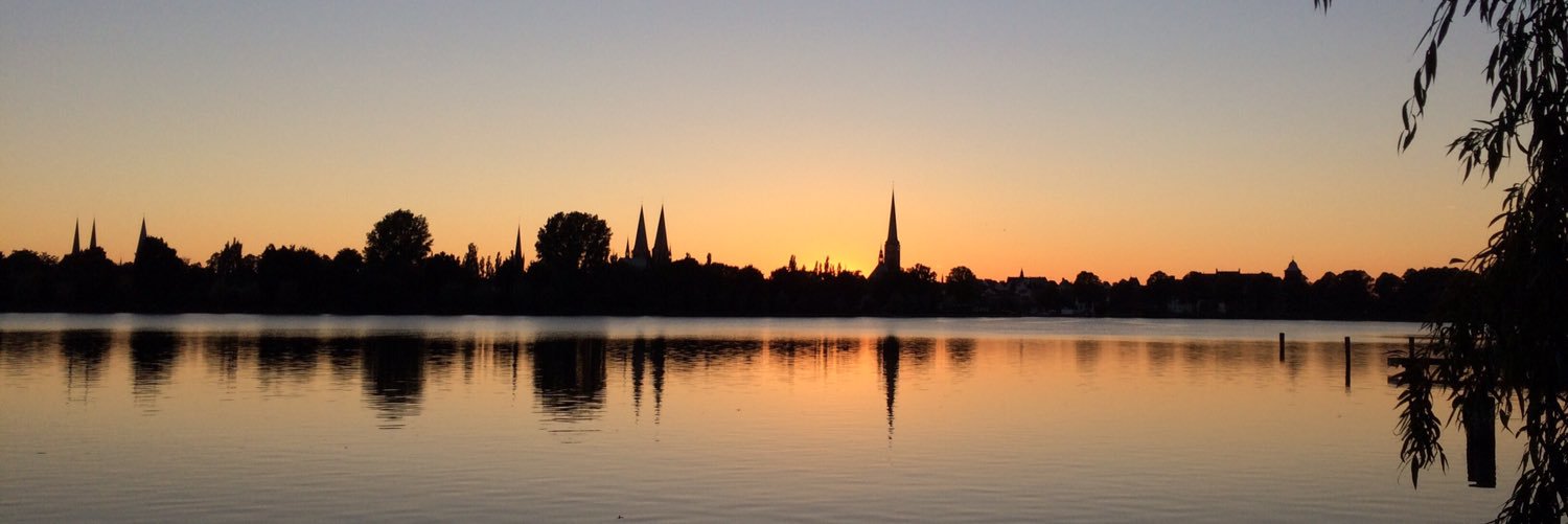 Michael Borst banner