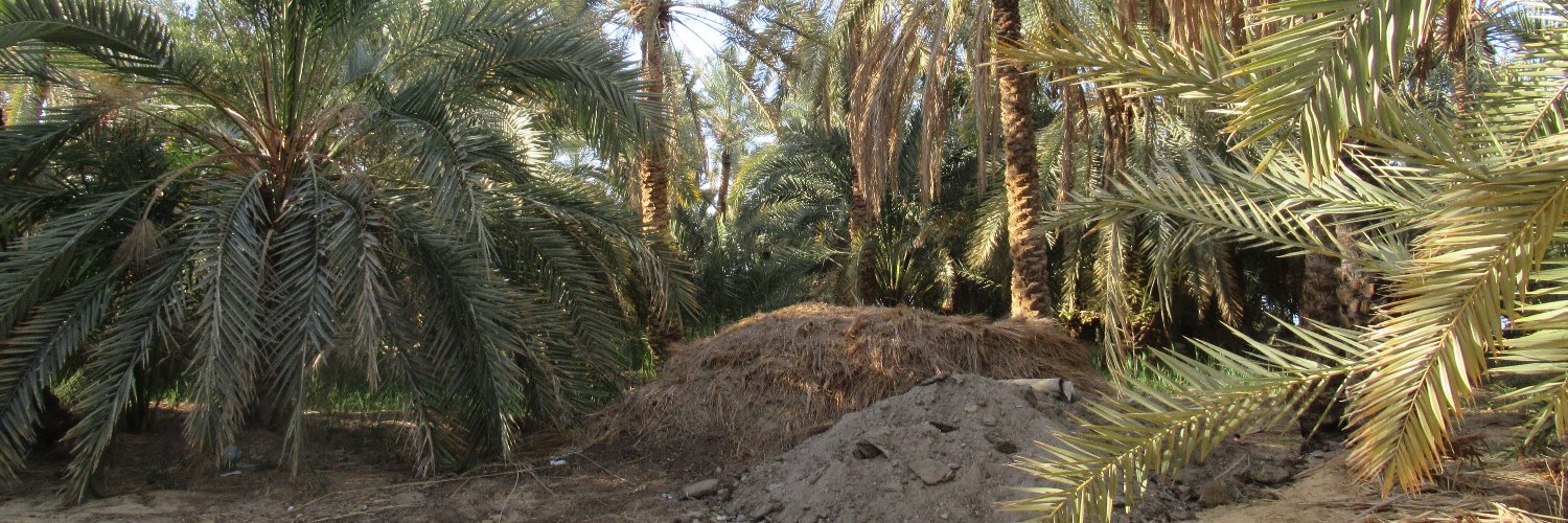 AliziaB's profile banner image