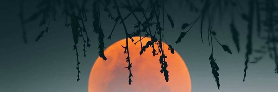 Rocioo_Monzon's profile banner image