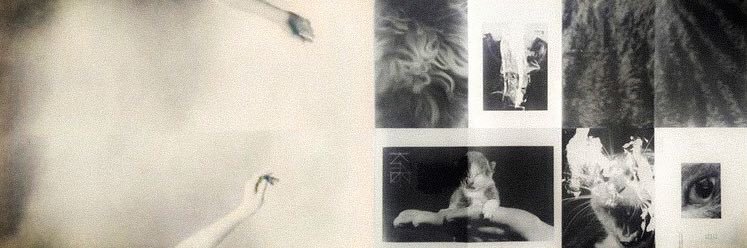minjudays's profile banner image
