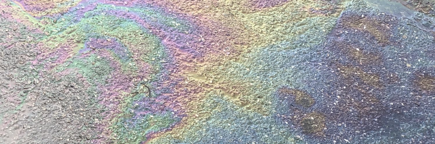 disscharmingman's profile banner image