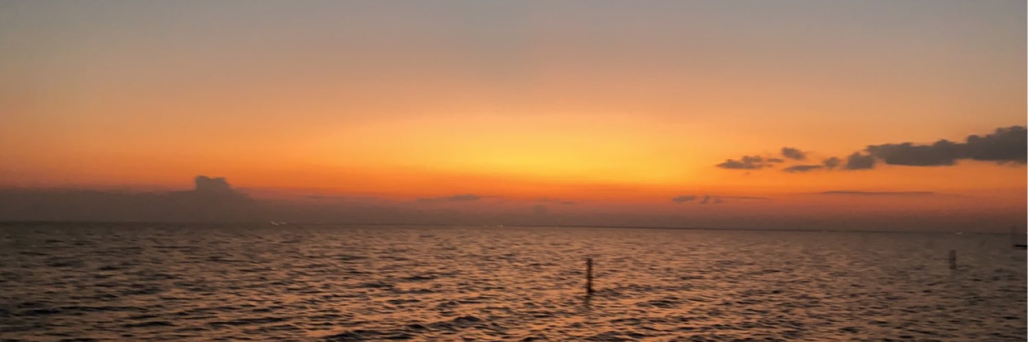 ILeantothe's profile banner image