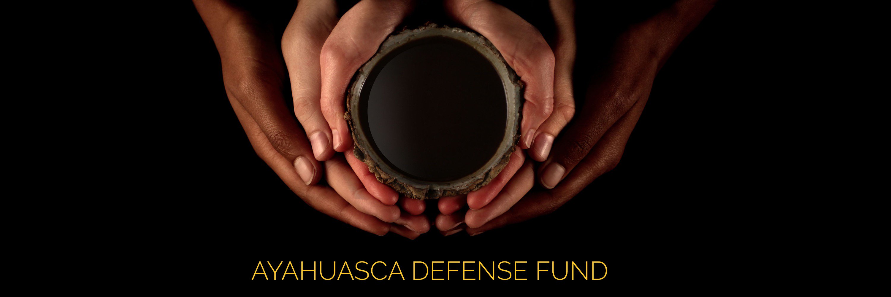 DefendAyahuasca's profile banner image