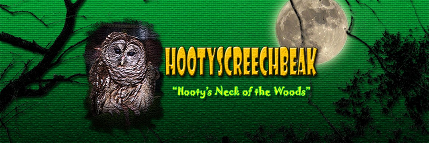 Hscreechbeak's profile banner image