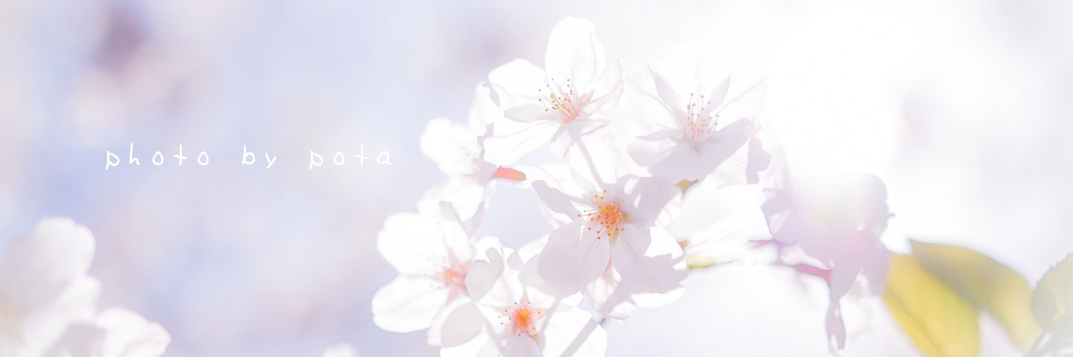 potachhin's profile banner image
