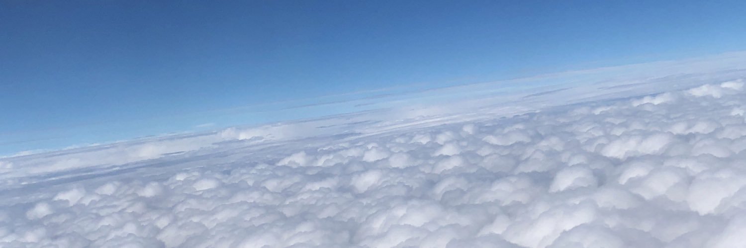 ava_icetraw's profile banner image