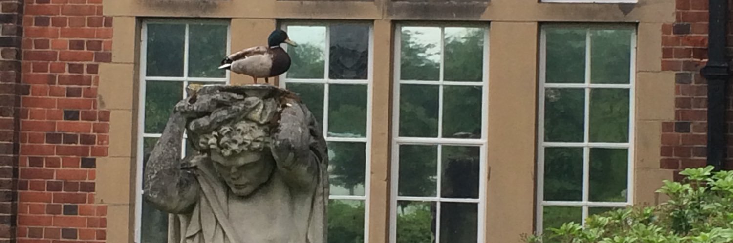 Teresa McGowan banner