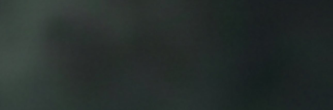 ShirinEnayati's profile banner image
