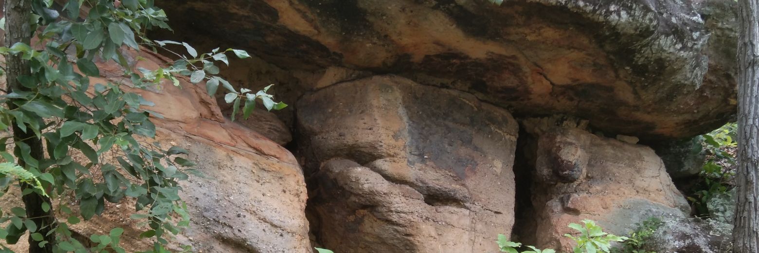 lung_thong_suk banner