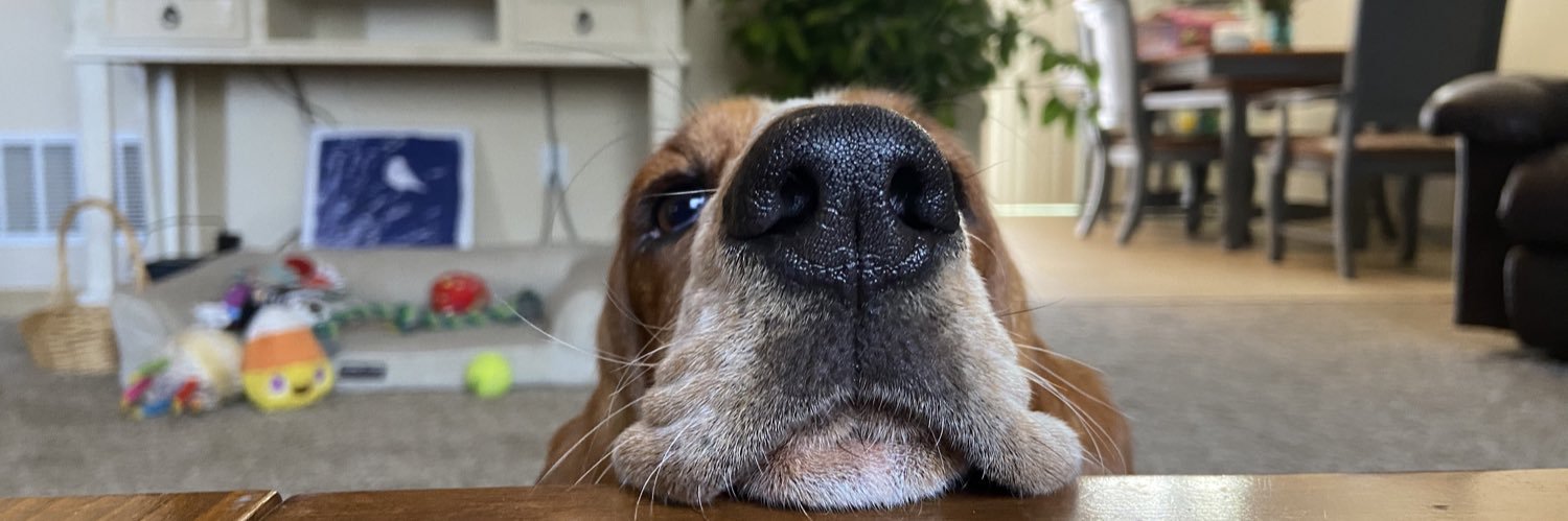 HarrisonKatzzz's profile banner image