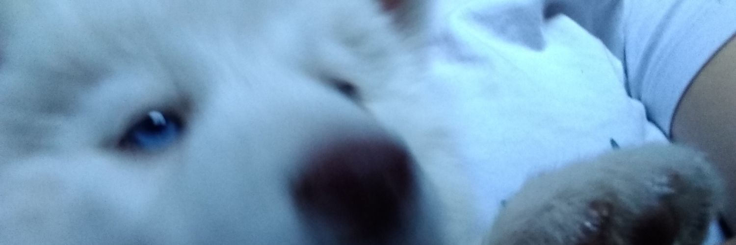 caaroliina715's profile banner image