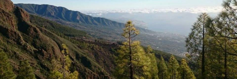 Patsanbor's profile banner image