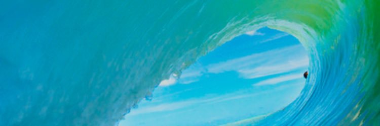 WaltDisFuuya's profile banner image