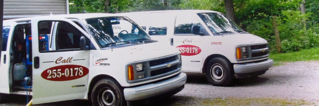 QCCarpet's profile banner image