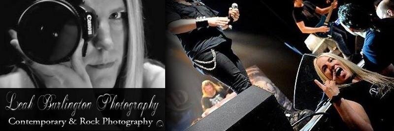 LadyofMetal's profile banner image