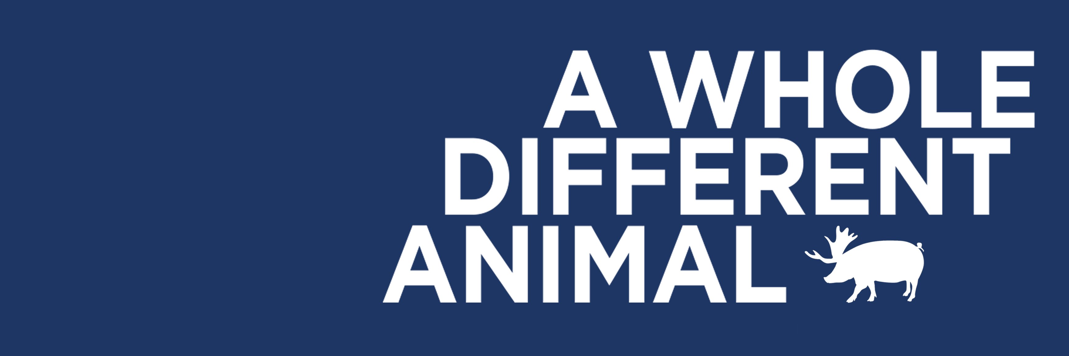 TerryLeahyFilms's profile banner image