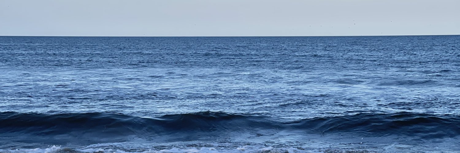 The Beard of Pittsburgh 💜💜🟧🏳️‍🌈💙💙 banner