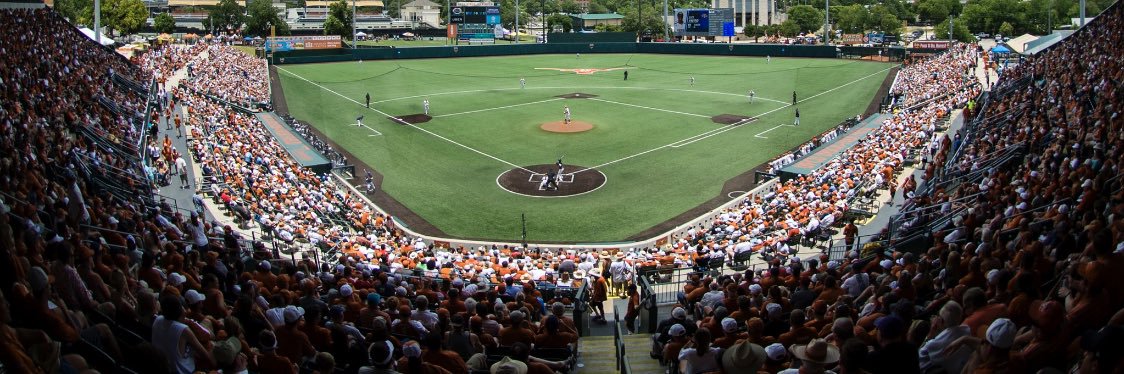 David Hamilton banner