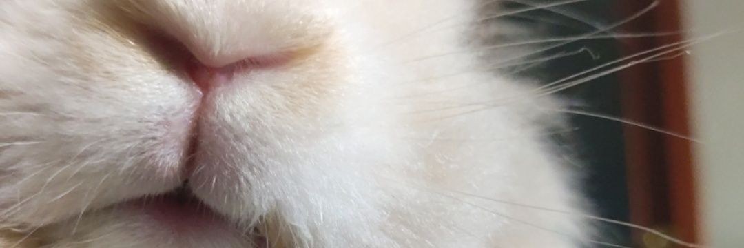 PatMaciias's profile banner image