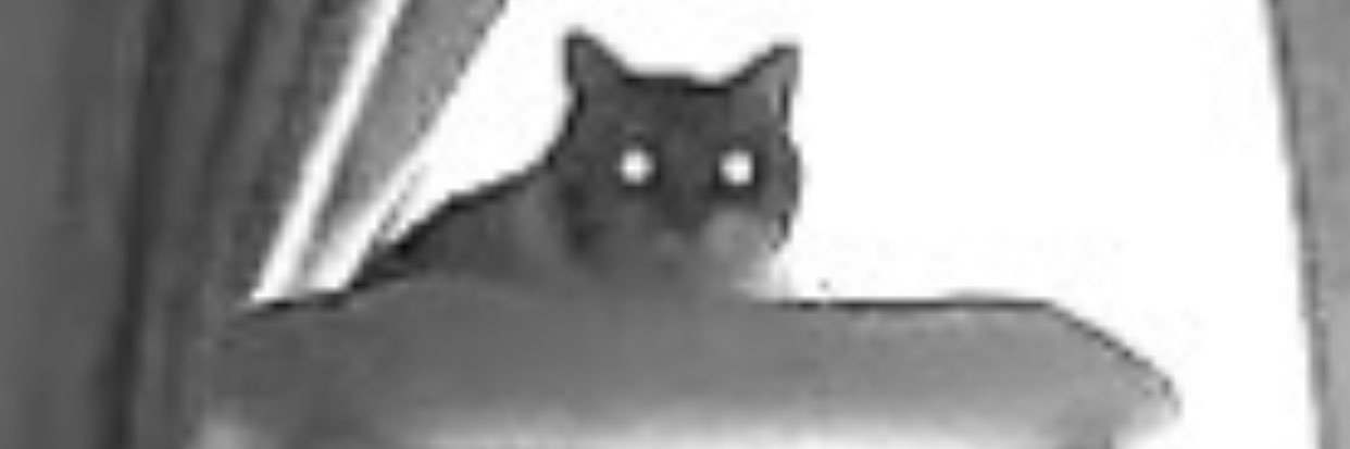 Poriand's profile banner image