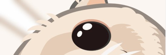 kokofun2's profile banner image