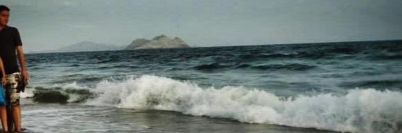 sammimdo's profile banner image