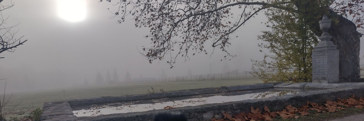 mijoca37's profile banner image