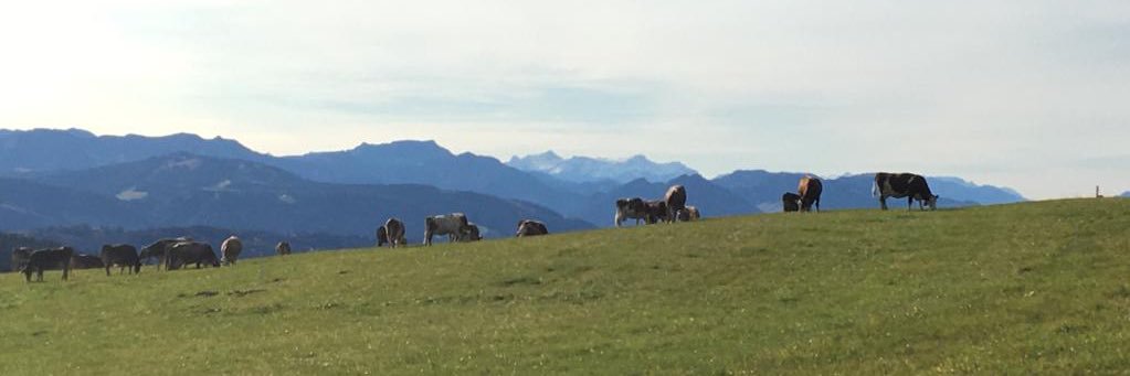 JuriKrack's profile banner image