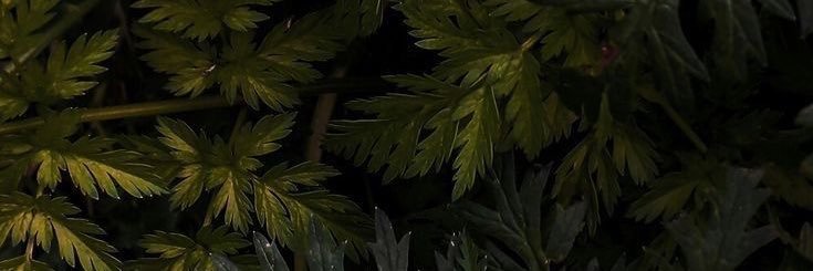 _h3bz's profile banner image