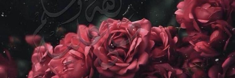HananShanab's profile banner image