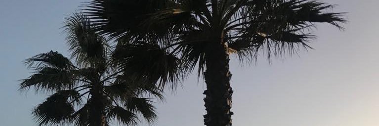 rafacintado_'s profile banner image