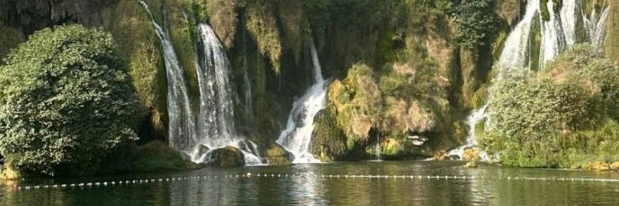 neri_kurtulus's profile banner image