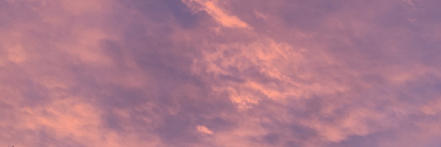 solduhamel's profile banner image