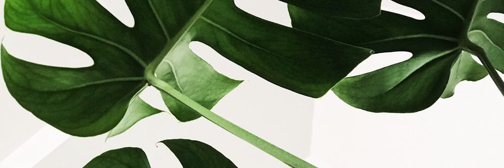 kristinnemf's profile banner image