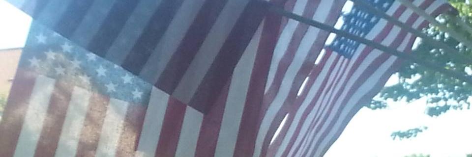 MicheleHay2's profile banner image