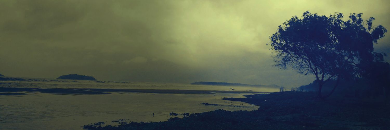 SnigdhasB's profile banner image