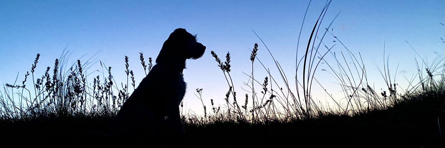 Sir Jack Spratticus GORB🌈 (Nessa) banner