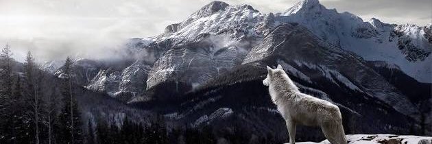 hkmtlgz's profile banner image
