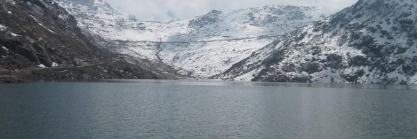 GuyInTransition Profile Banner