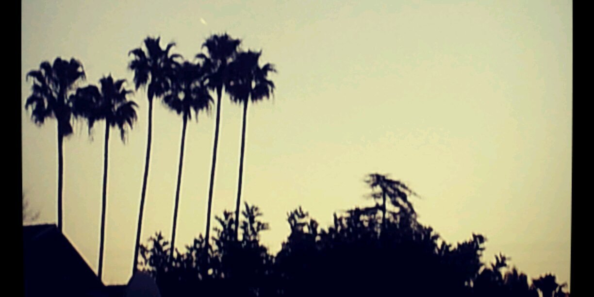rocha_rosa's profile banner image